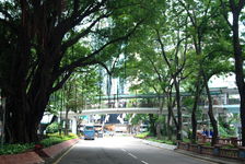  Hong Kong, a city thrust into the rainforest