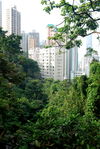 Hong Kong, une ville poussée dans la foret tropicale