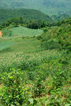 Landscape with green Yong De, Lincang