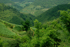 Montagnes verdoyantes de Yong De