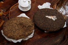 Comparaison de deux galette de bourgeons fermentés Lan Ting Chun