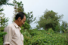 Zhai Guo ting in a garden Yong De, Lincang