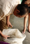 Zhai Guo Ting dripping Maocha and buying a small local peasants