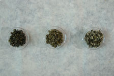 Trois Bi Luo Chun du Yunnan (feuilles sèches)
