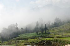Paysage de Yuan Yang dans la brume