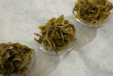 Thés verts du Yunnan