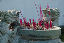 Sticks of incense near the oldest tea tree in the world