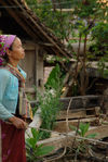  Woman to Bulang Bulang Shan, Xishuangbanna