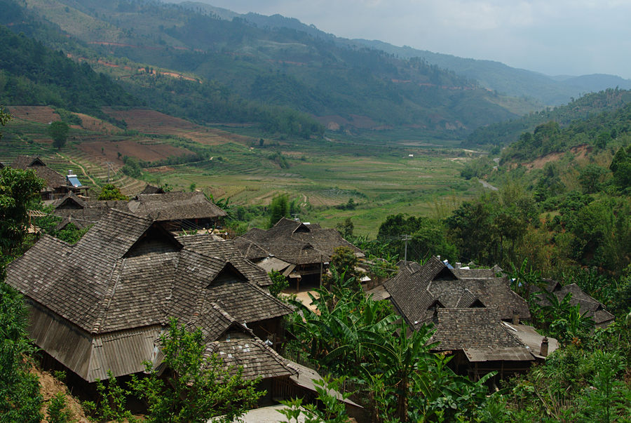 Thé Pu Erh Bio - Yunnan Chine - 200g ou 2 kg