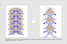  Passage of the Jin Tuo Cha Cha