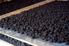  Mini-tuos during drying