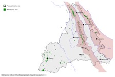 Arbres sauvages dans la région de Pu'Er