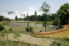  Famous rice fields south of Hong He Ailao Shan