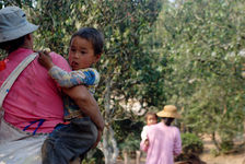 Famille de producteurs à Wuliang Shan