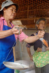  Purchase of fresh leaves in a small producer Wuliang Shan 