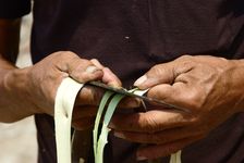  Cut the bark into thin strips stringy