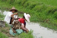 Lavage du Guo Pi à la rivière