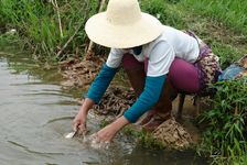 Lavage du Guo Pi à la rivière