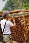  Wang Bing currently sourcing of Maocha to Yi Wu