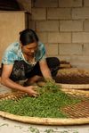  Rou Cha (rolling) craft in Wang Bing