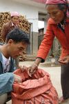  Wang Bing observing a Maocha San Qiutian