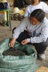  Xiao Lee watching a Maocha to Mahei zhai