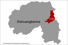 Y Wu au sein du Xishuangbanna