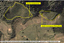 Le jardin écologique Wang Bing vu du ciel