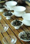 Sélection 2012 des meilleurs thé d'arbres uniques
