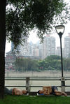 Quais de Chengdu