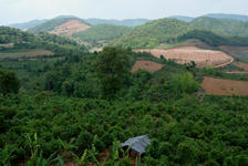 Site on which Chen Sheng He built his factory in Menghai
