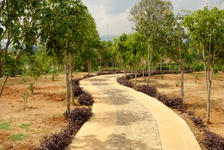  Driveway future garden bordering the factory Chen Sheng