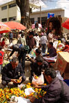  Market in Lincang campaign during New Year
