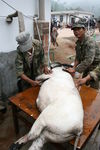 Preparing the feast in Jinuo (Copyright Stephane Verdeille)