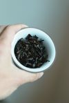 dark Puerh