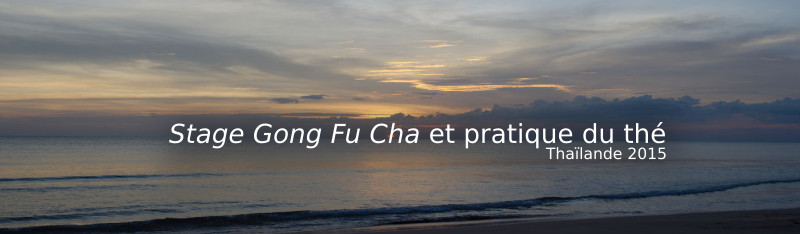 Stage Gong Fu Cha et pratique du thé Thailande 2015