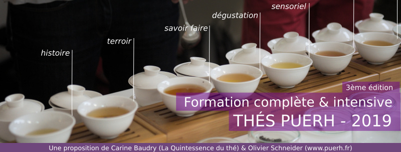 Formation complète aux thés puerh Paris 2019