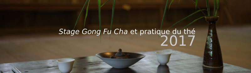 Stage Gong Fu Cha et pratique du thé Thailande 2017